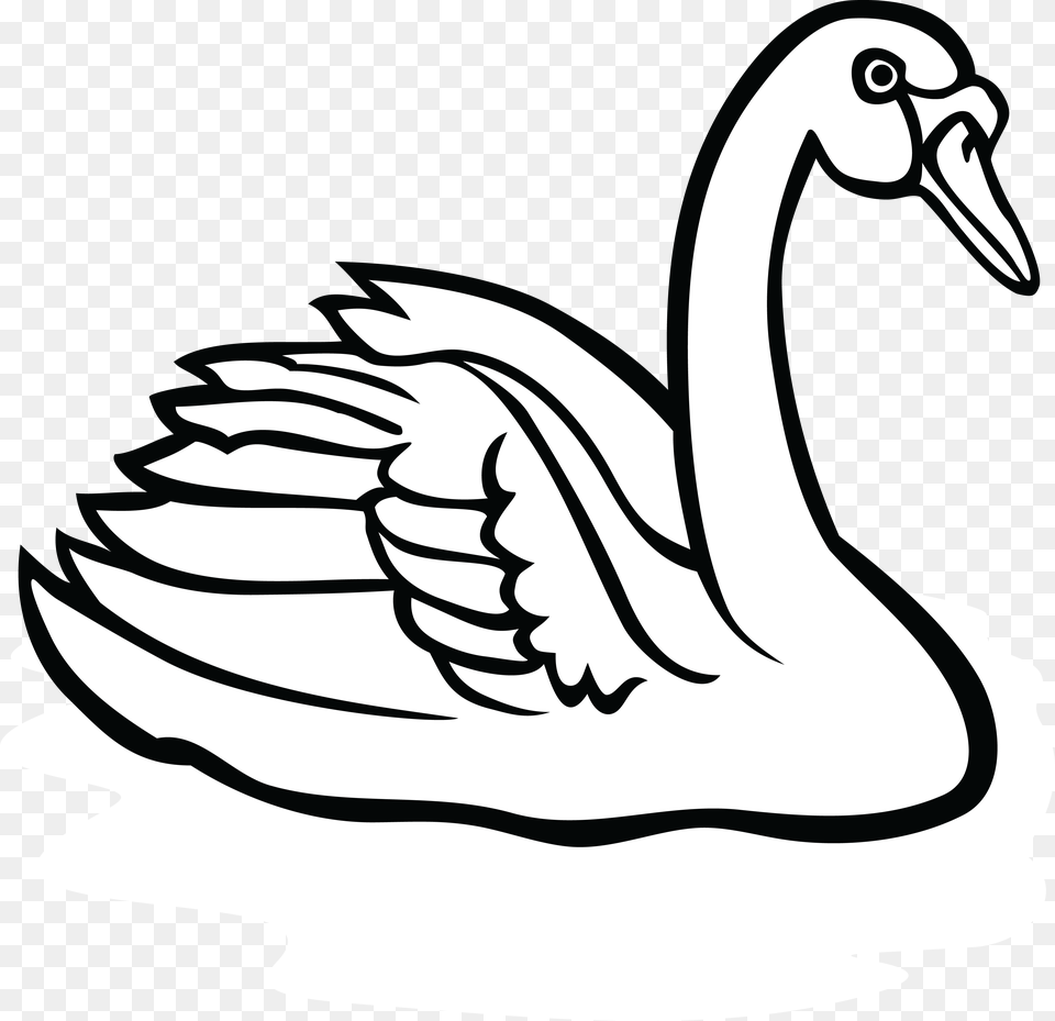 Line Art Drawing Clip Art, Animal, Bird, Swan, Waterfowl Png Image