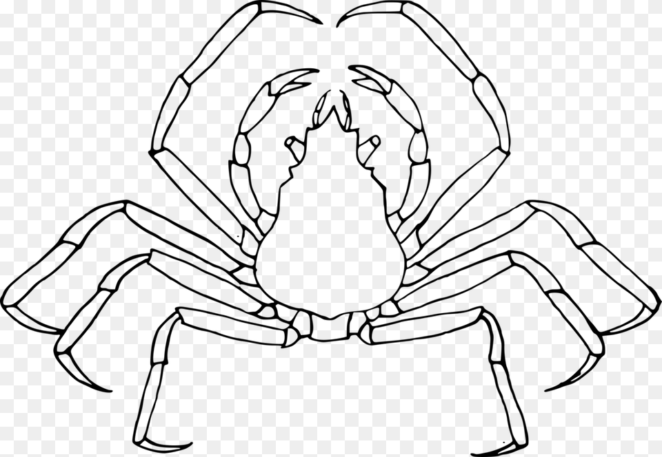 Line Art Drawing Insect Mosquito Drawing, Gray Png