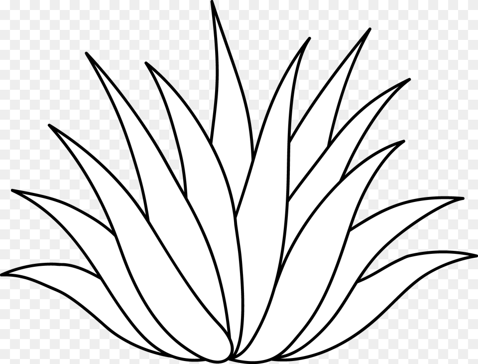 Line Art Easy Aloe Vera Drawing, Leaf, Plant, Pattern Free Png