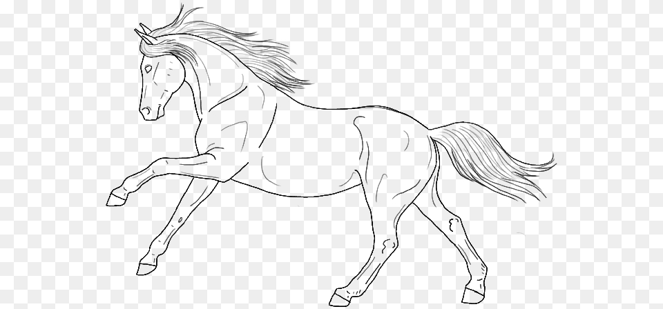 Line Art Horse, Gray Free Png Download