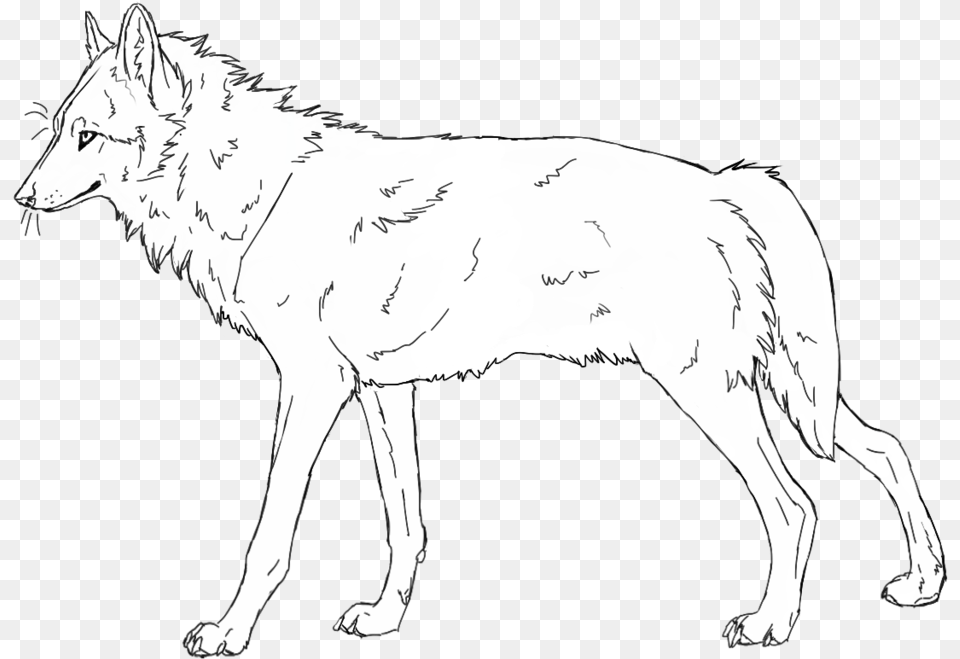 Line Art Mule Pit Bull Drawing Black And White Line Art, Animal, Mammal, Wolf, Coyote Png Image