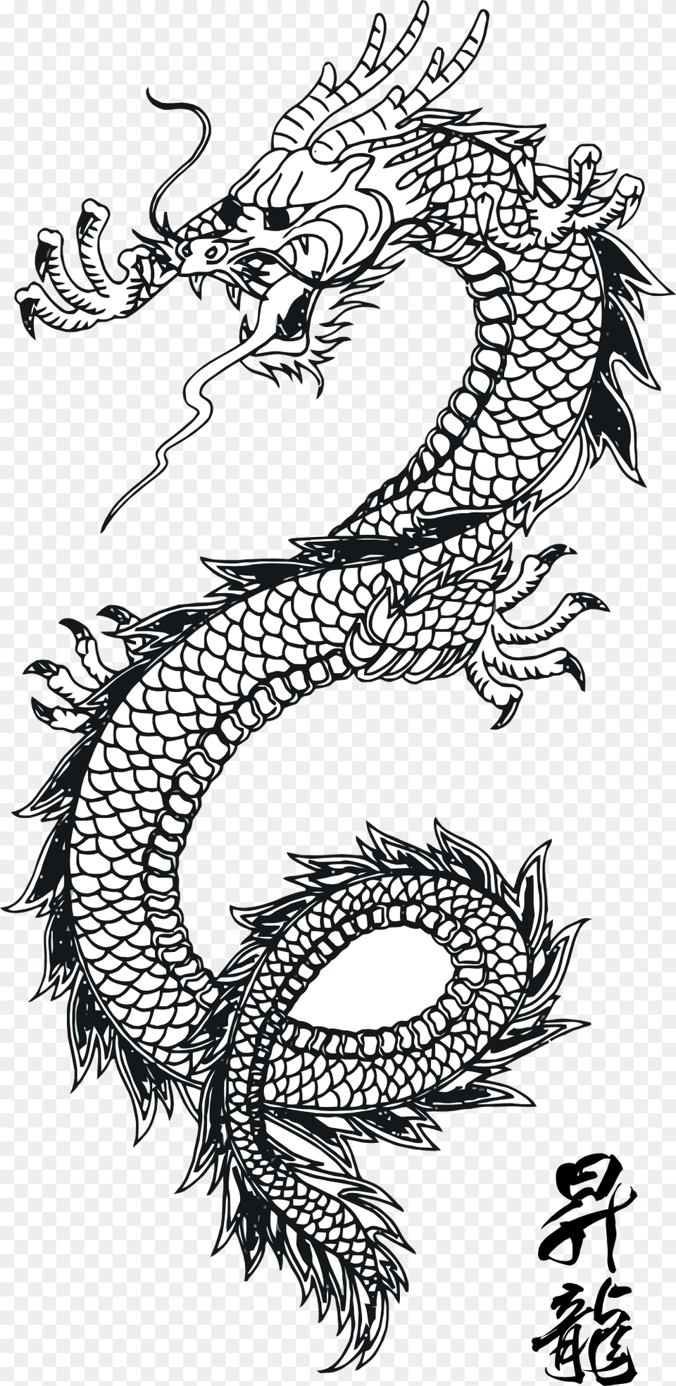 Line Art Traditional Chinese Dragon Scales And Pattern Black And White Chinese Dragon, Animal, Bird Free Png