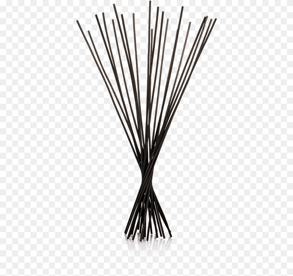 Line Art Vase, Plant, Incense Png Image