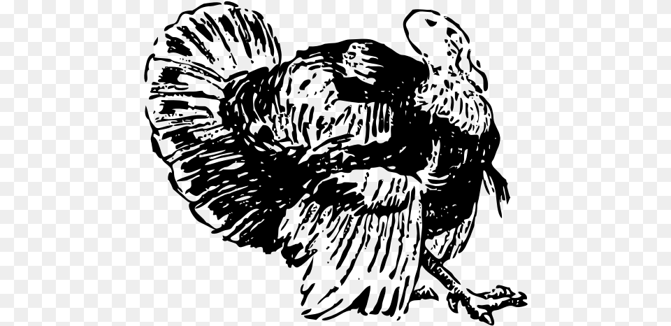 Line Art Vector Drawing Of Turkey, Gray Free Transparent Png