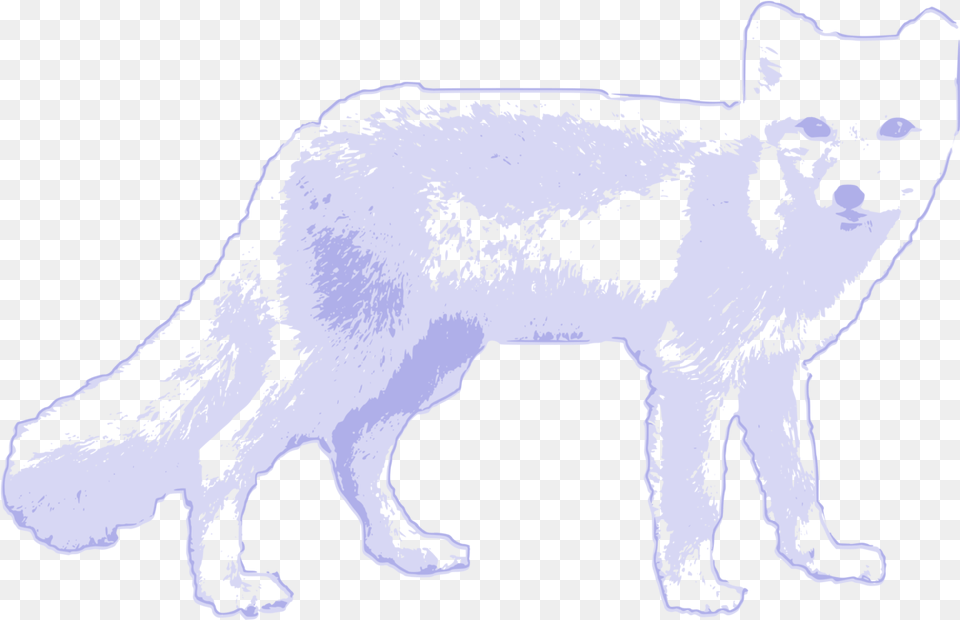 Line Art Wildlife Small To Medium Sized Arctic Wolf Arctic Fox Clipart, Person, Animal, Mammal, Dog Png Image