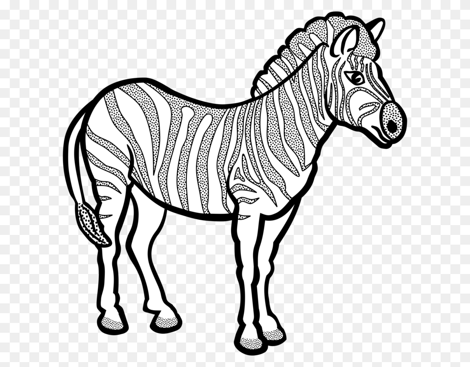 Line Art Zebra Black And White, Animal, Horse, Mammal, Wildlife Free Transparent Png