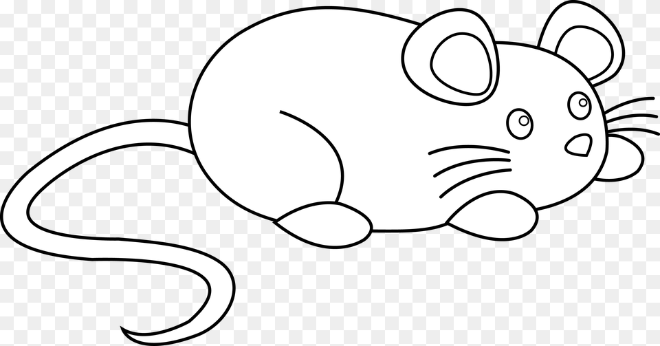 Line Artcoloring Booksnouttailblack And Cute Mouse Clipart Easy, Animal, Mammal, Baby, Person Png