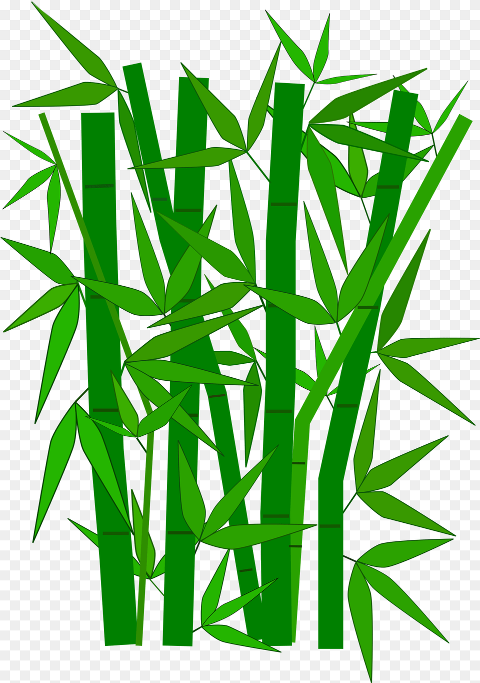 Line Artgrass Familyleaf Bamboo Clipart, Plant Free Transparent Png