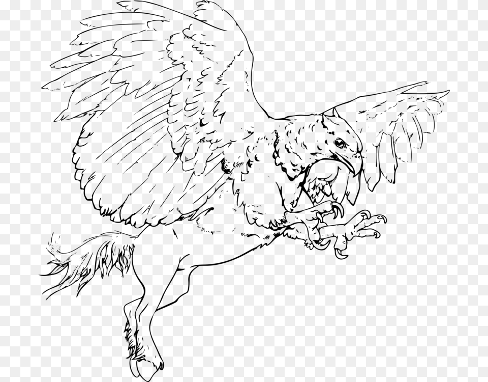 Line Artheadcoloring Book Griffin, Gray Free Png