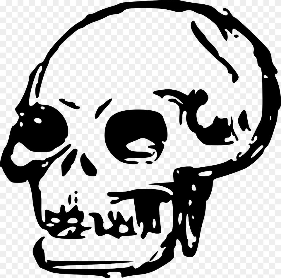 Line Artheadskull Skull Clip Art, Gray Free Png
