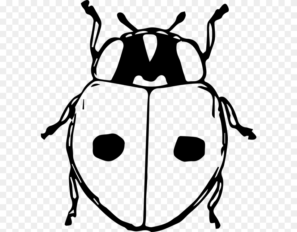 Line Artmonochrome Photographyladybird Clipart Stag Beetle Beetle Cartoon, Gray Free Transparent Png