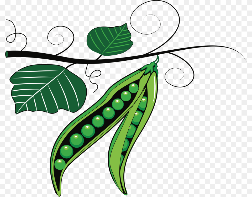 Line Artplantflora Clipart Green Peas, Food, Produce, Pea, Plant Free Png Download