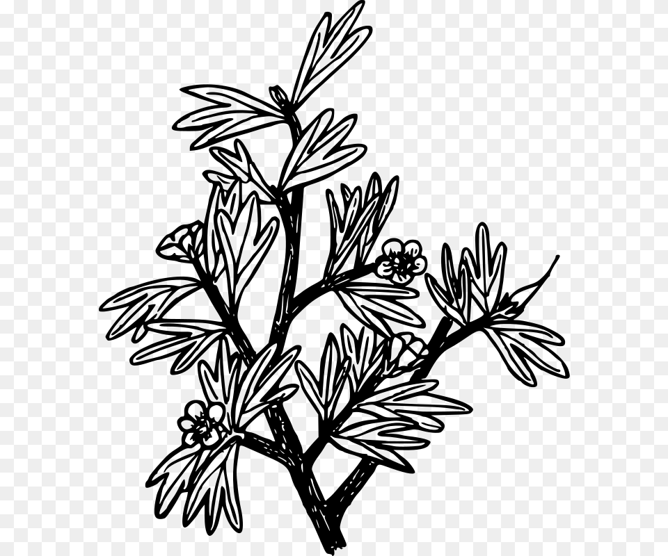 Line Artplantflora Coloring Page, Gray Free Transparent Png