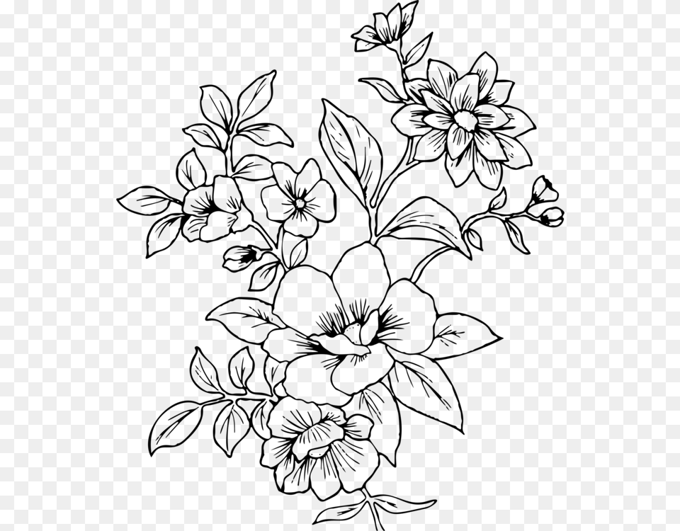 Line Artplantflora Flowers Line Art, Gray Png Image