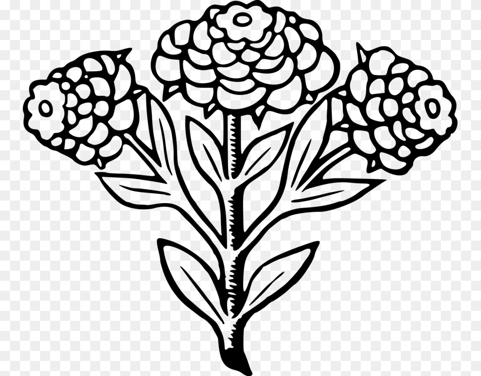 Line Artplantflora Illustration, Gray Png