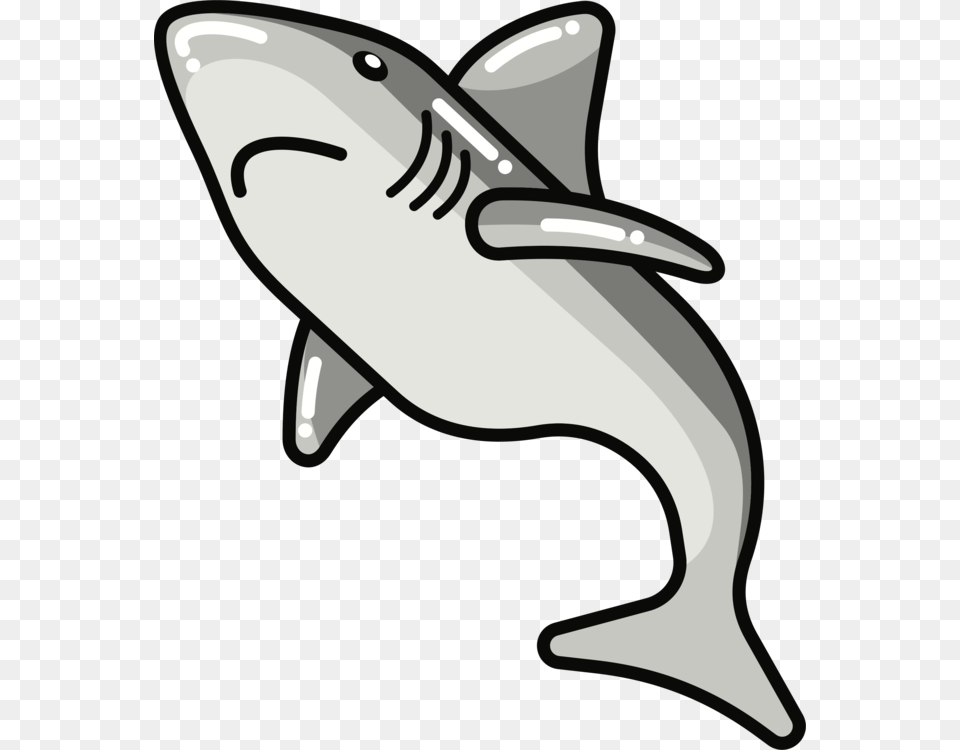 Line Arttailkiller Whale, Animal, Sea Life, Fish, Shark Free Transparent Png