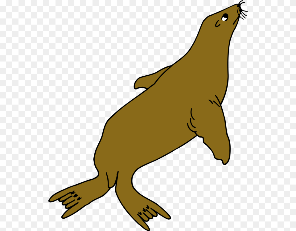 Line Artwildlifewing Clipart Royalty Svg Seal Drawing With Colour, Animal, Mammal, Sea Life, Sea Lion Png