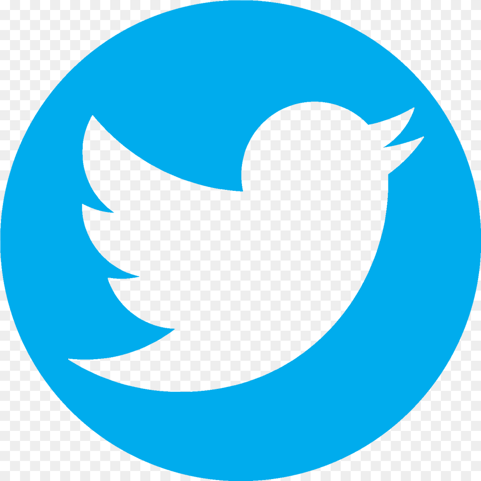Line Clipart Computer Icons Social Media Facebook Twitter Logo, Animal, Bird, Blackbird, Astronomy Png