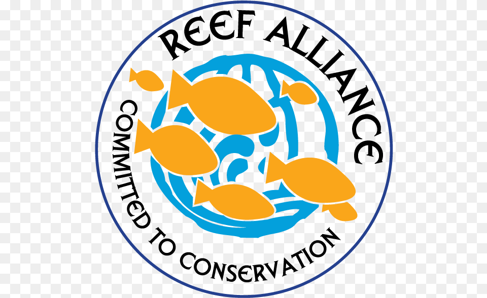 Line Clipart Coral Reef Alliance Transprent Free, Animal, Sea Life, Fish Png