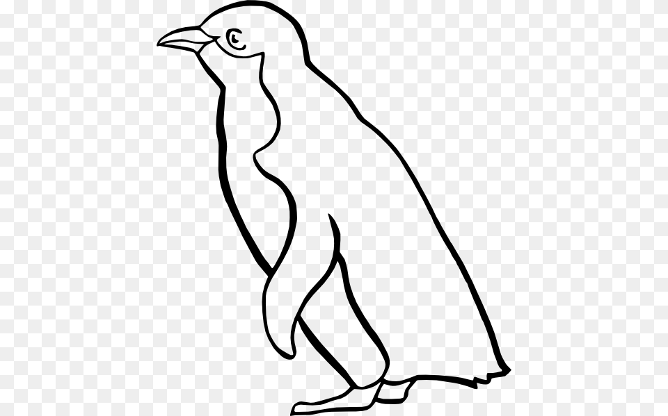 Line Clipart Penguin, Animal, Kangaroo, Mammal, Bird Png