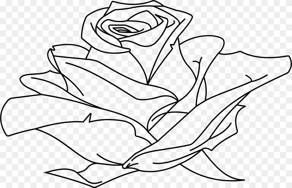 Line Clipart Rose Transparent Rose Outline, Gray Png