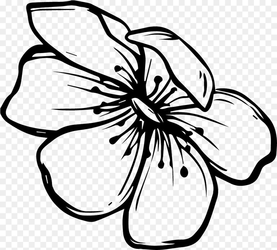 Line Drawing Black And White Flower, Gray Png