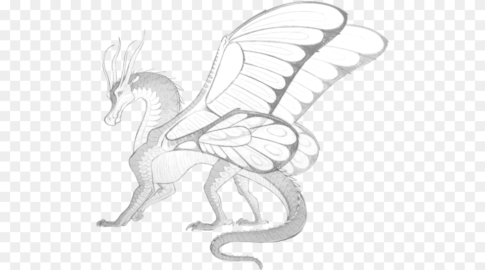 Line Drawing Of Angel Wings Owl Outline Pages Silkwings Wings Of Fire, Animal, Reptile, Snake, Dragon Png