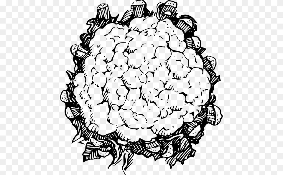 Line Drawing Of Cauliflower, Food, Plant, Produce, Vegetable Free Png