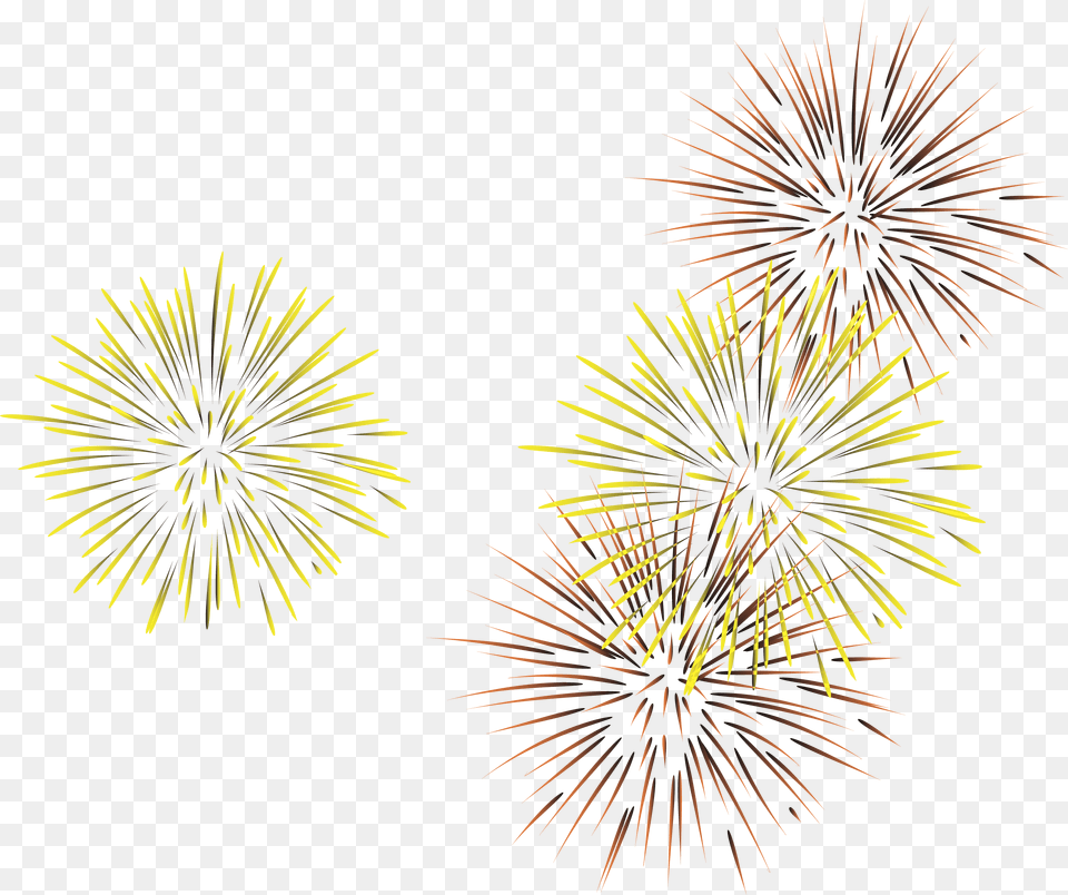 Line Fireworks Euclidean Vector Diwali Fireworks In, Plant Png