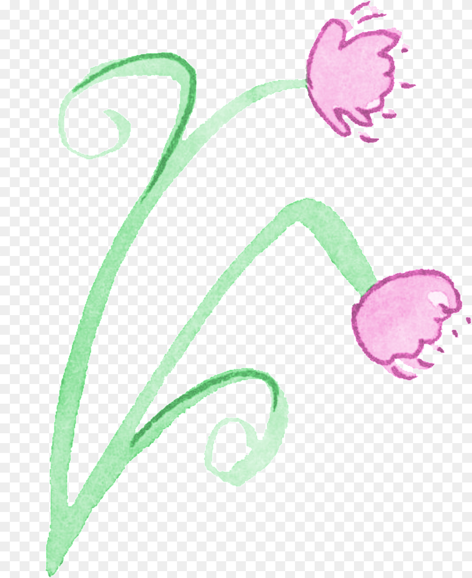 Line Flower Cartoon Transparent Drawing, Plant, Petal Free Png Download