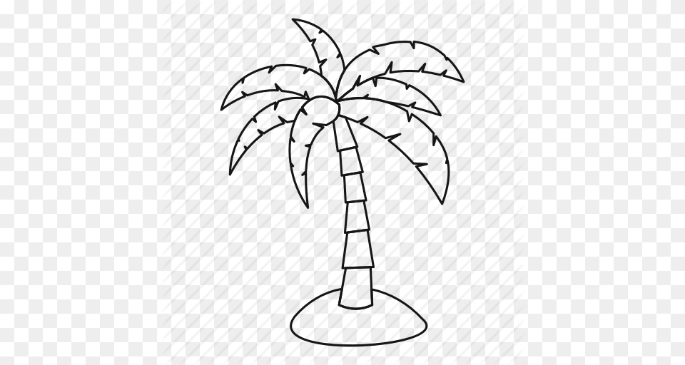 Line Nature Outline Palm Plant Tree Tropical Icon, Palm Tree, Glass, Potted Plant, Cross Png Image