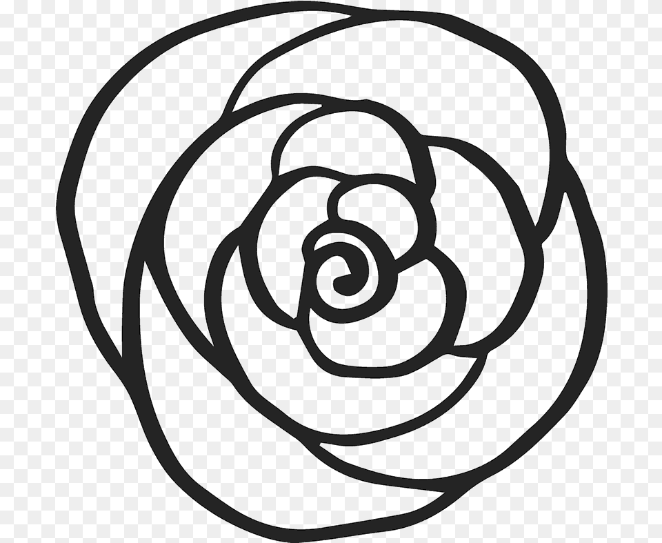 Line Rose Outline Drawing Transparent, Coil, Spiral, Flower, Plant Png Image