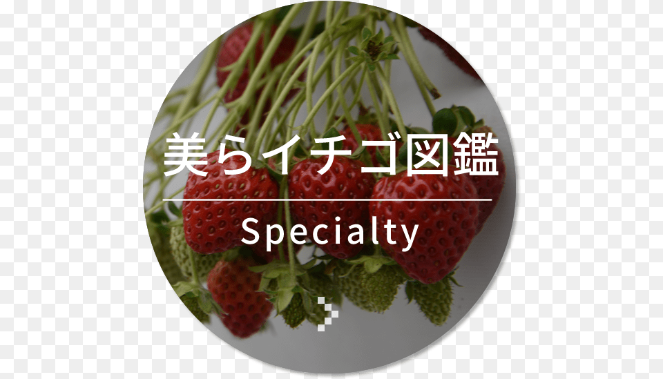 Line Seedless Fruit, Berry, Food, Plant, Produce Png Image