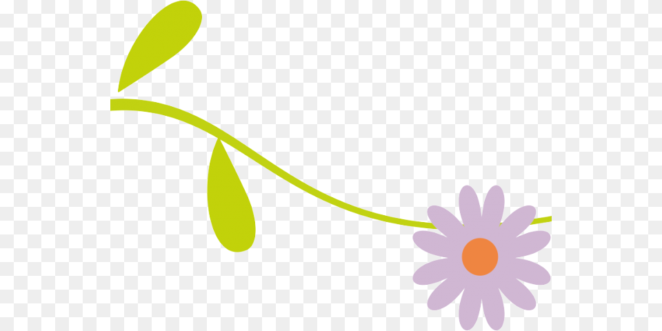Line Separator Cliparts Flower Divider, Plant, Daisy, Petal, Anemone Png Image
