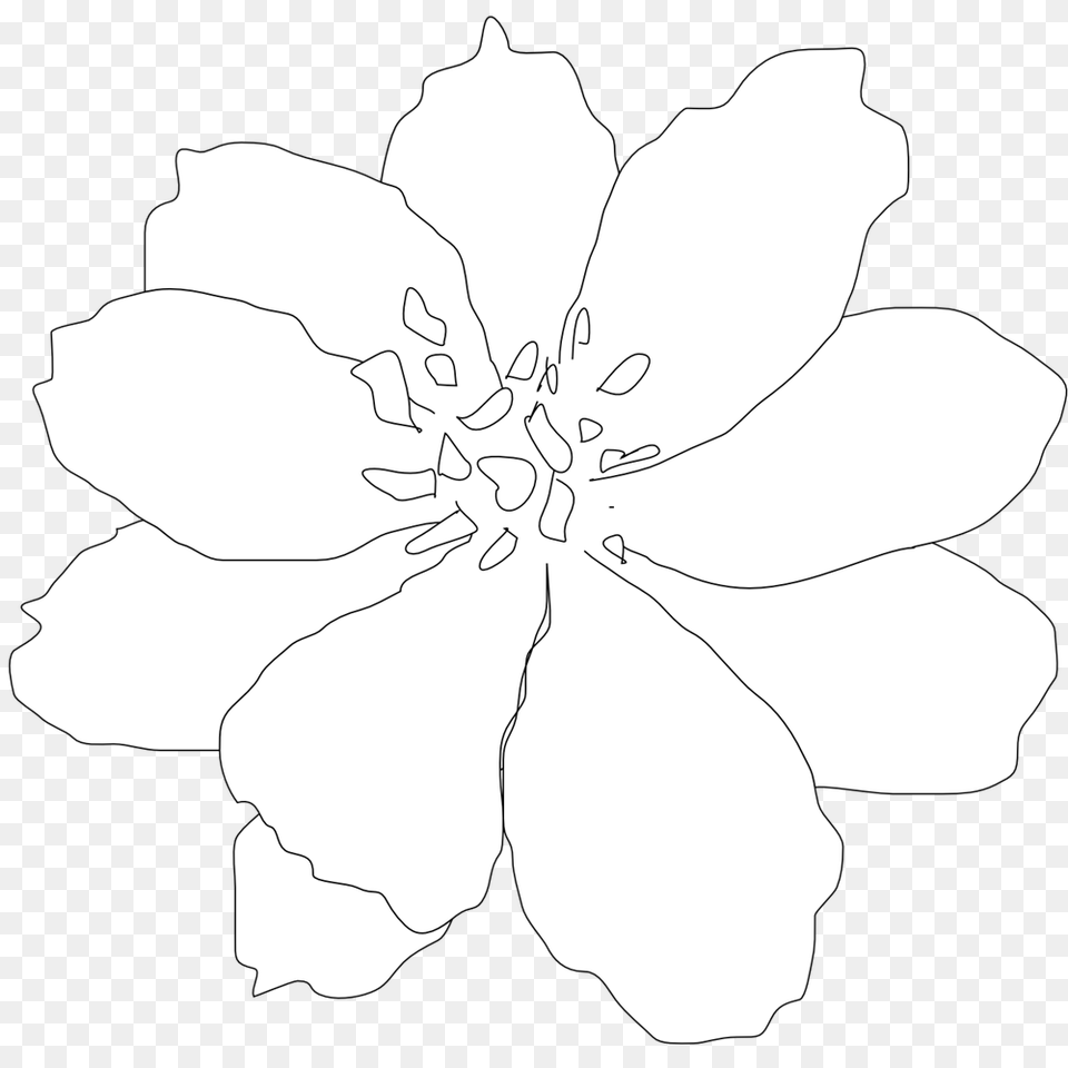 Line Tattoo Flower Clematis, Anemone, Anther, Petal, Plant Free Transparent Png