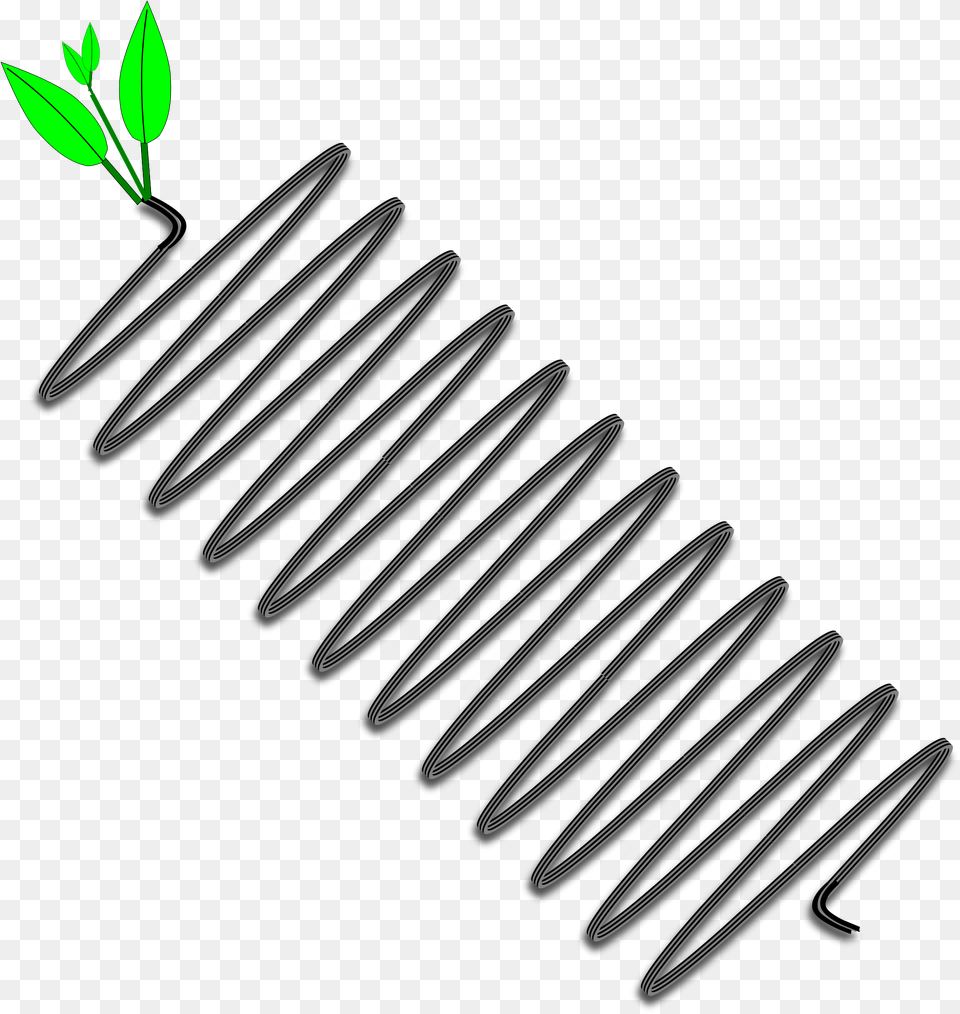 Line Wire Spring Clipart Metal Spring Clipart, Coil, Spiral, Leaf, Plant Free Png Download