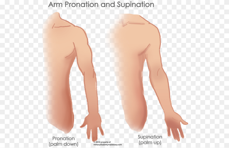 Linear Scars, Arm, Body Part, Person, Adult Png