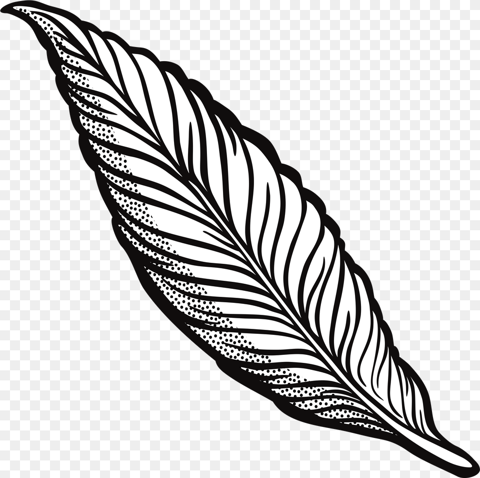 Lineart Clip Arts Transparent Feather Clipart, Leaf, Plant, Art Png Image