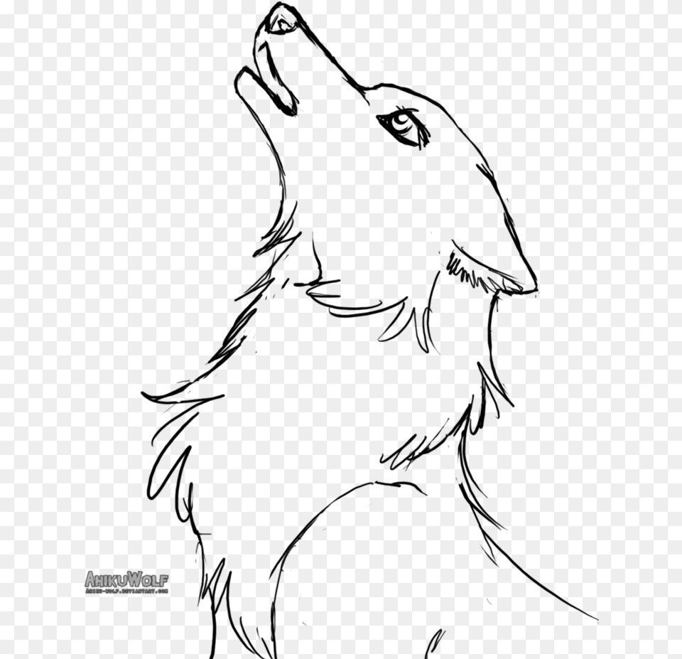 Lineart Female Wolf By Ahiku Wolf D82g46a Female Wolf Drawing Easy, Gray Png