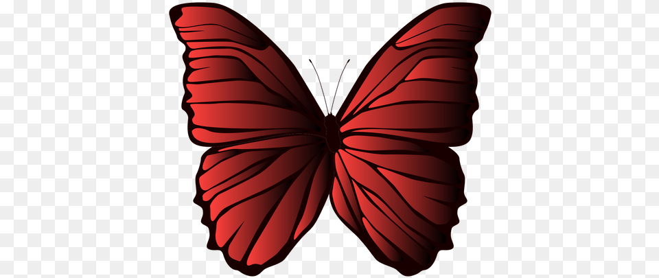 Lined Wings Butterfly Mariposas Gif Sin Fondo, Maroon, Plant, Flower, Petal Free Transparent Png