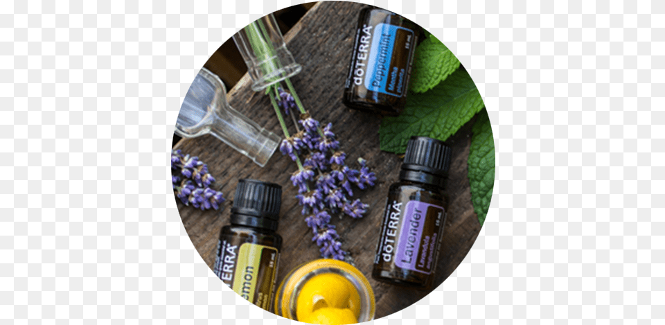 Lineup U2014 Space Spa Healthy Can Be Simple Doterra, Herbs, Plant, Herbal, Flower Png