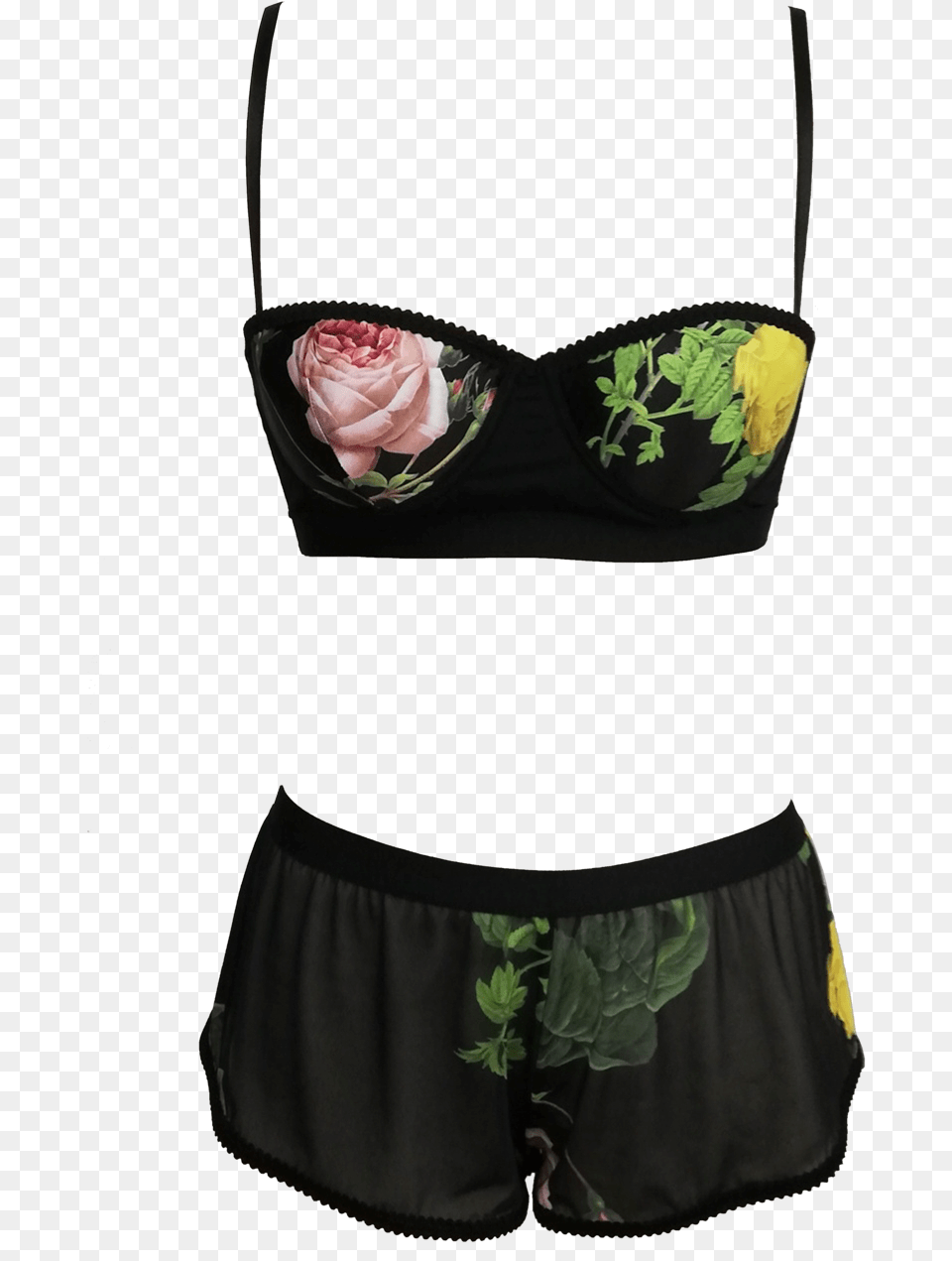 Lingerie Top, Rose, Plant, Flower, Accessories Png Image