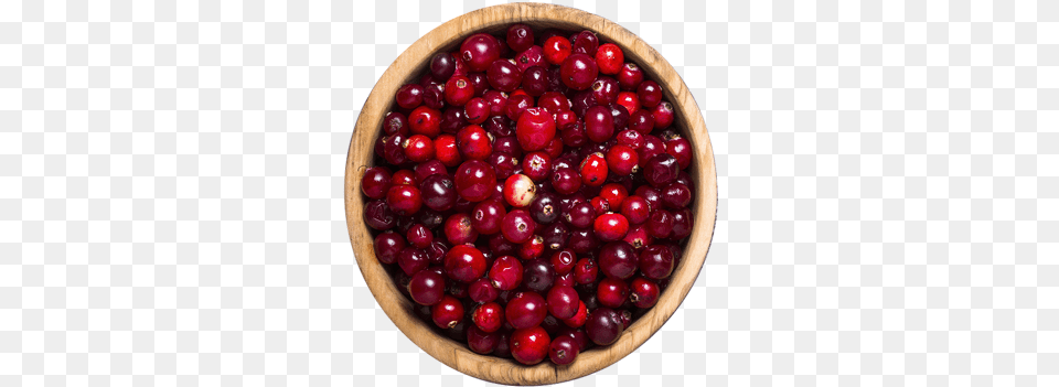Lingonberry, Food, Fruit, Plant, Produce Free Png Download