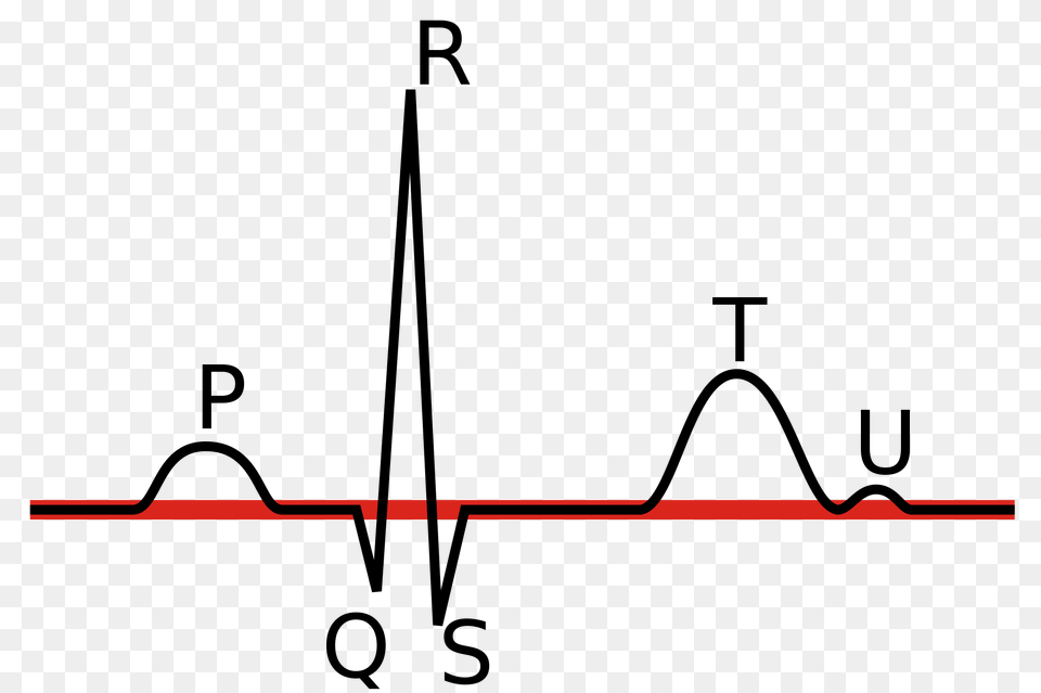 Linia Izoelektryczna Ekg Png Image