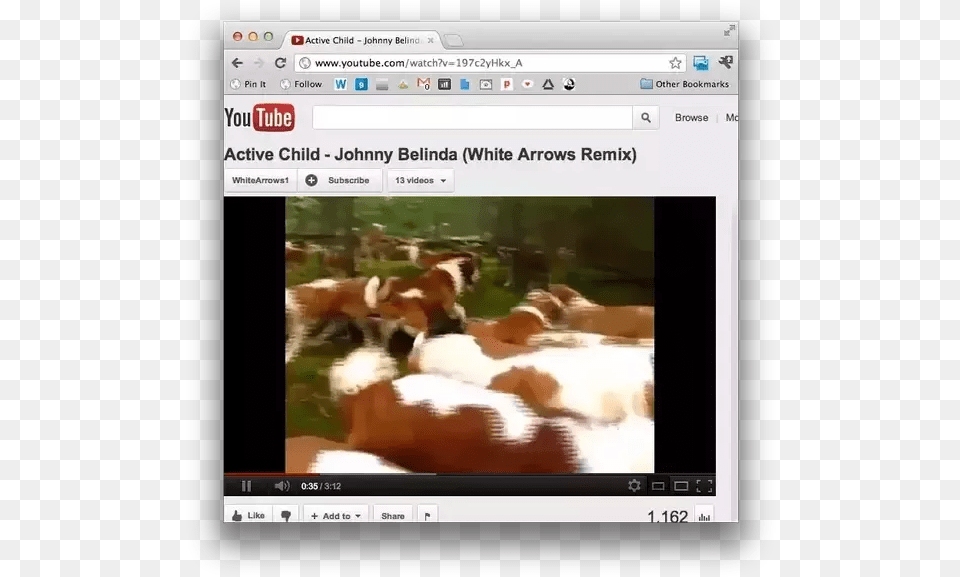 Link Of A Youtube Video To Language, Animal, Herd, Cattle, Mammal Png