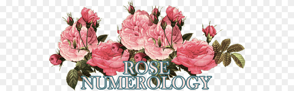 Link To Rose Numerology Printable Vintage Thank You Cards, Flower, Plant, Dahlia, Carnation Free Png Download