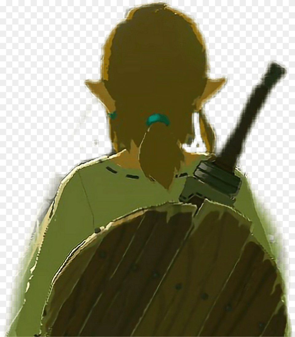 Link Zelda Botw Breath Of The Wild Illustration, Adult, Male, Man, Person Free Transparent Png