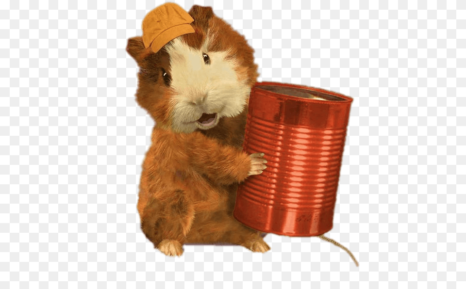 Linny Holding Wonder Pets Telephone, Animal, Mammal, Rat, Rodent Free Png