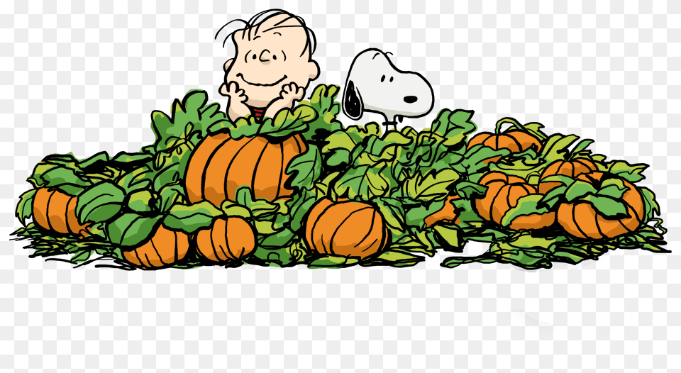 Linus And Snoopy Awaiting The Arrival Of The Great Pumpkinbeen, Vegetable, Food, Pumpkin, Produce Png Image