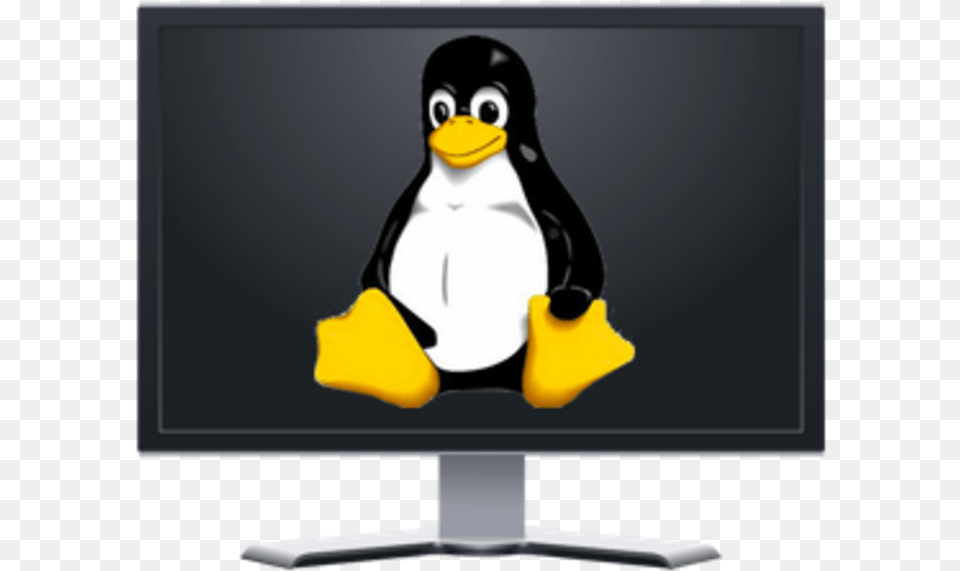 Linus Does Linux Computers, Animal, Bird, Computer Hardware, Electronics Png Image